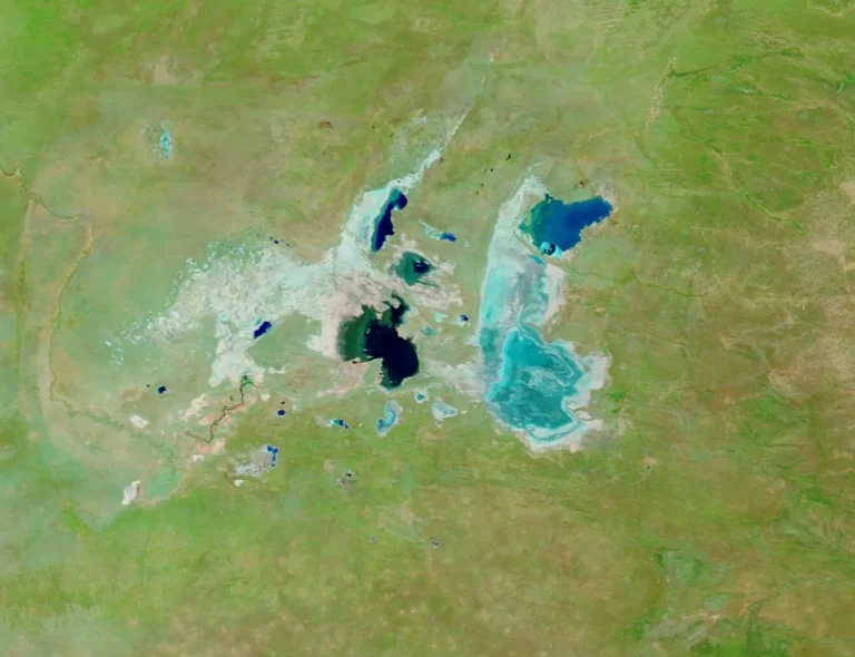Makgadikgadi Salt Pans, Botswana (MODIS 2021-06-29)