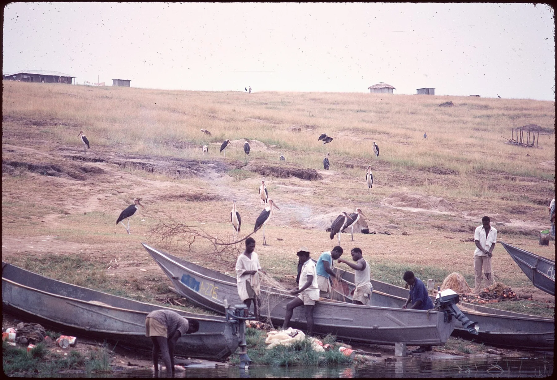 1972-1-2 Uganda - Kazinga Channel - Vissersdorpje en Maraboes
