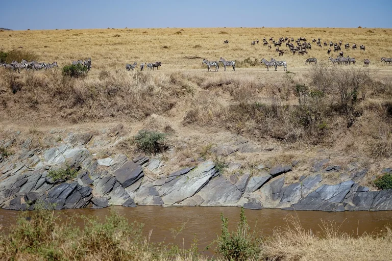 Maasai Mara, Kenya (33858490798)