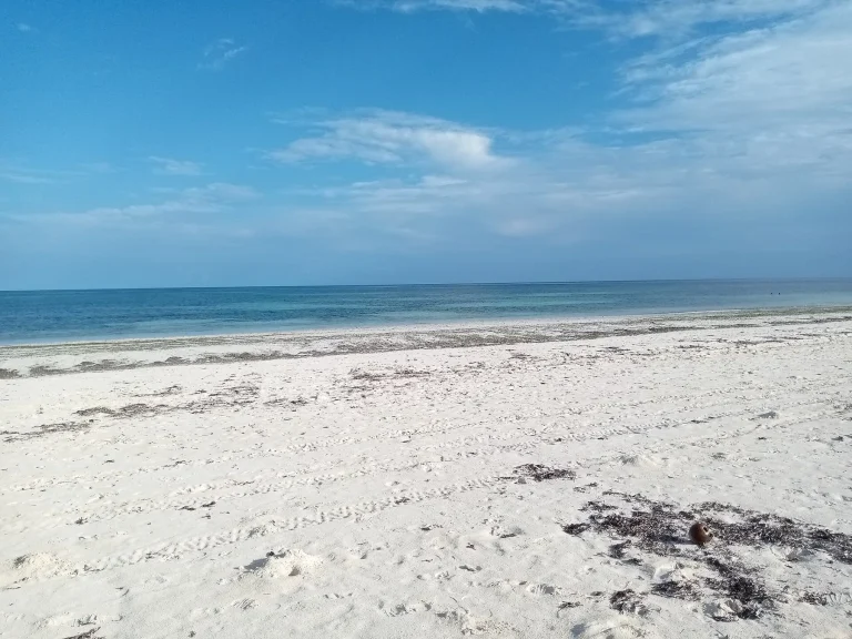 Bofa Public Beach Kilifi
